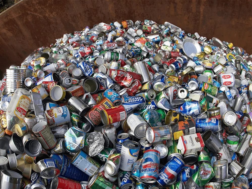 Food and beverage waste processing with ARZIR equipment