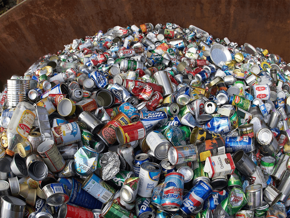 Food & Beverage Waste Processing Solutions
