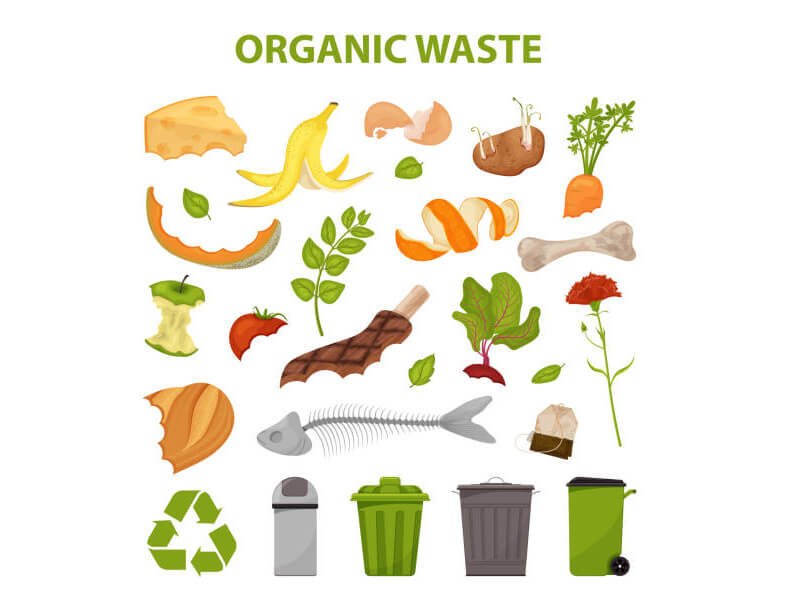 Organic & Food Waste