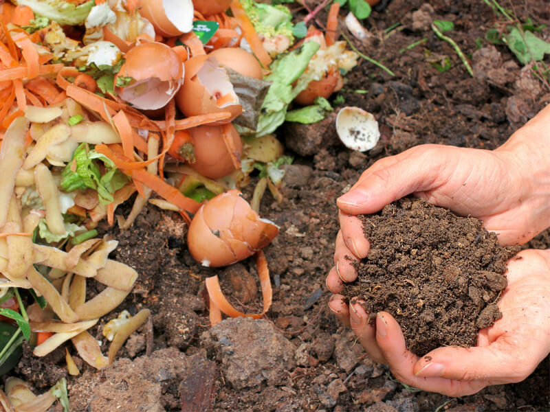 Organic Waste & Composting